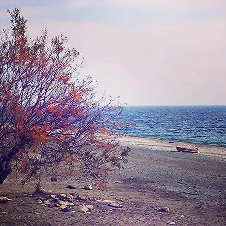 Homeholidays Mare * 로칼루메라